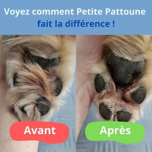 PawEase Pro™ Tondeuse à pattes