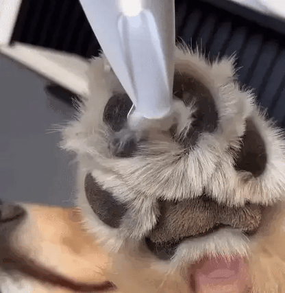 PawEase Pro™ Tondeuse à pattes